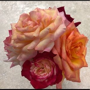 Meet your Posher, Debbie